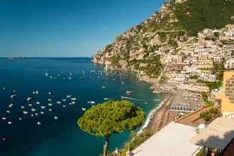 Positano bay framed by a Mediterranean pine